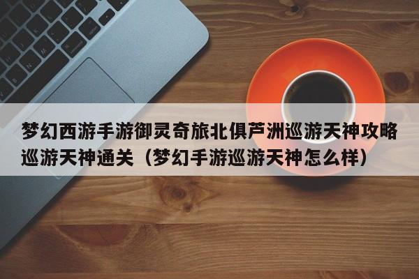 梦幻西游手游御灵奇旅北俱芦洲巡游天神攻略巡游天神通关（梦幻手游巡游天神怎么样）