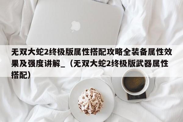无双大蛇2终极版属性搭配攻略全装备属性效果及强度讲解_（无双大蛇2终极版武器属性搭配）