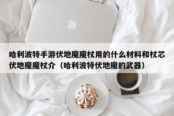 哈利波特手游伏地魔魔杖用的什么材料和杖芯伏地魔魔杖介（哈利波特伏地魔的武器）