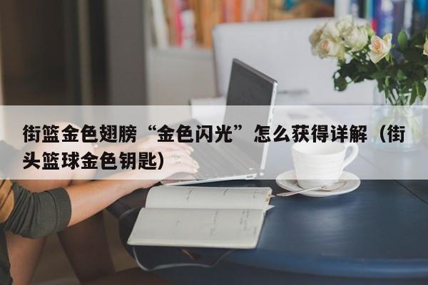 街篮金色翅膀“金色闪光”怎么获得详解（街头篮球金色钥匙）