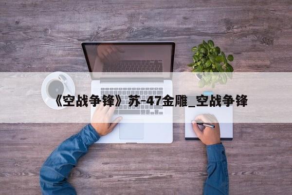 《空战争锋》苏-47金雕_空战争锋