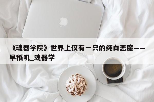 《魂器学院》世界上仅有一只的纯白恶魔——早稻叽_魂器学