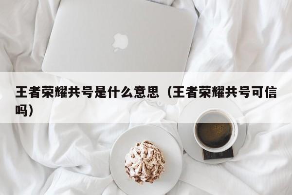 王者荣耀共号是什么意思（王者荣耀共号可信吗）