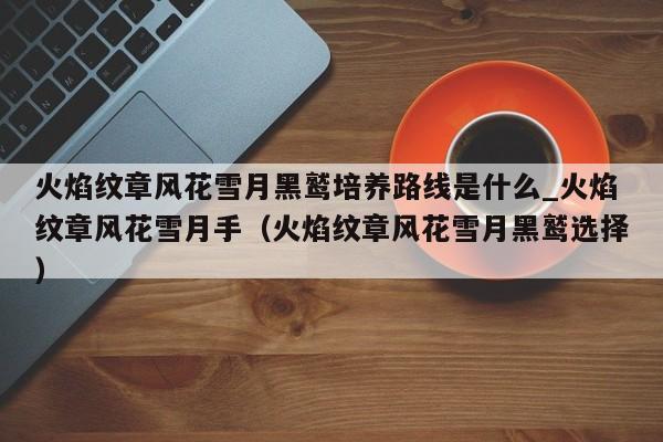 火焰纹章风花雪月黑鹫培养路线是什么_火焰纹章风花雪月手（火焰纹章风花雪月黑鹫选择）