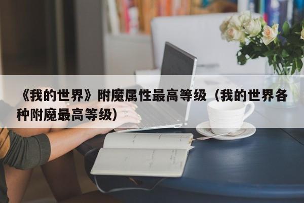 《我的世界》附魔属性最高等级（我的世界各种附魔最高等级）