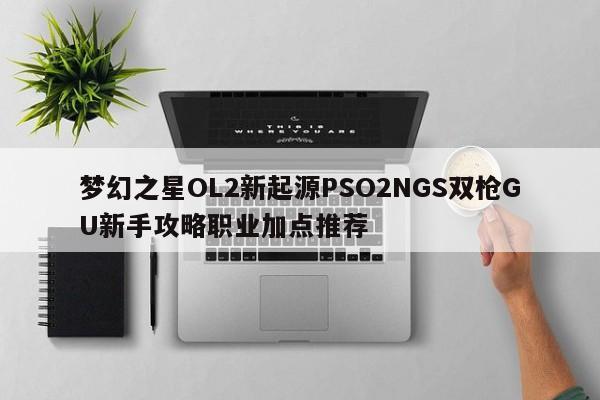 梦幻之星OL2新起源PSO2NGS双枪GU新手攻略职业加点推荐