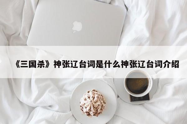 《三国杀》神张辽台词是什么神张辽台词介绍