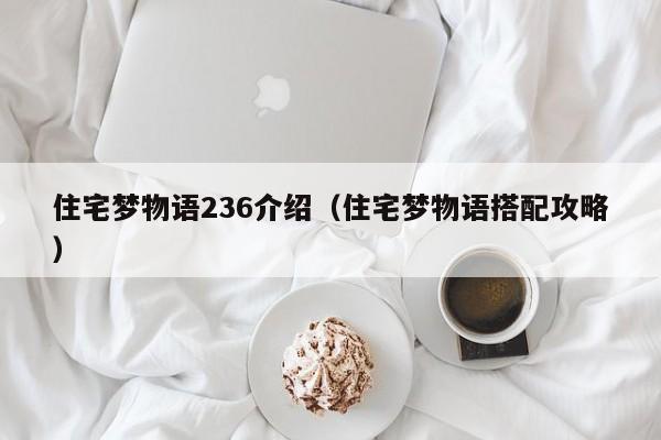 住宅梦物语236介绍（住宅梦物语搭配攻略）
