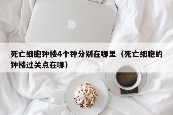 死亡细胞钟楼4个钟分别在哪里（死亡细胞的钟楼过关点在哪）