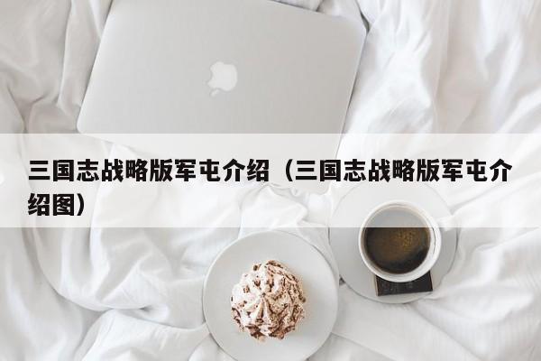 三国志战略版军屯介绍（三国志战略版军屯介绍图）