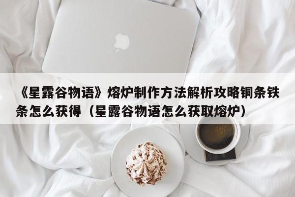 《星露谷物语》熔炉制作方法解析攻略铜条铁条怎么获得（星露谷物语怎么获取熔炉）