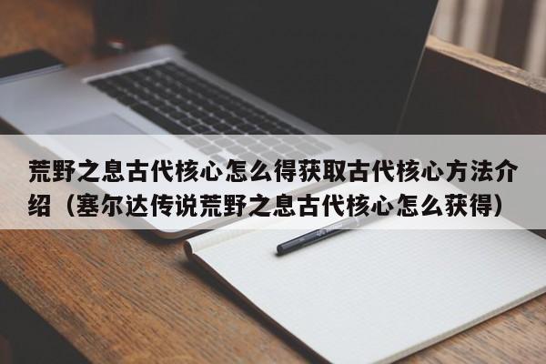 荒野之息古代核心怎么得获取古代核心方法介绍（塞尔达传说荒野之息古代核心怎么获得）