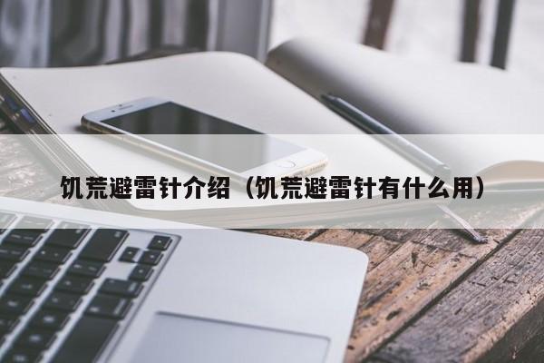 饥荒避雷针介绍（饥荒避雷针有什么用）