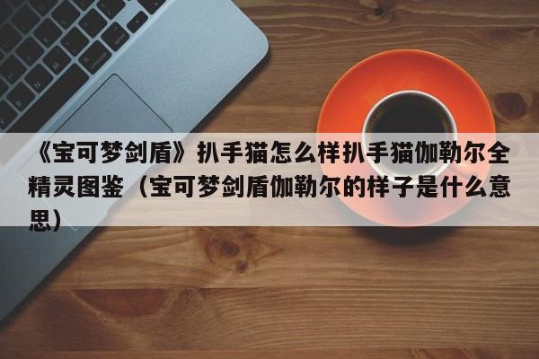 《宝可梦剑盾》扒手猫怎么样扒手猫伽勒尔全精灵图鉴（宝可梦剑盾伽勒尔的样子是什么意思）
