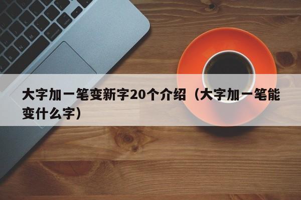大字加一笔变新字20个介绍（大字加一笔能变什么字）