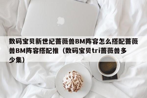 数码宝贝新世纪蔷薇兽BM阵容怎么搭配蔷薇兽BM阵容搭配推（数码宝贝tri蔷薇兽多少集）