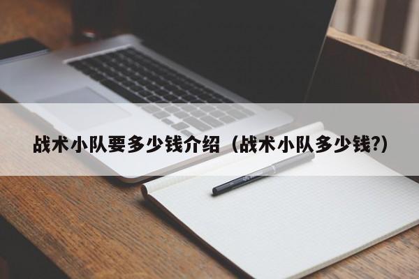 战术小队要多少钱介绍（战术小队多少钱?）