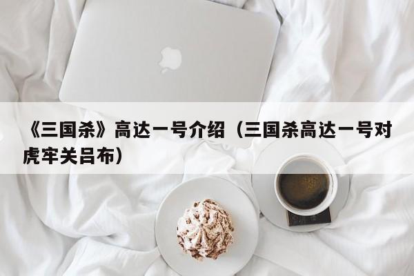《三国杀》高达一号介绍（三国杀高达一号对虎牢关吕布）