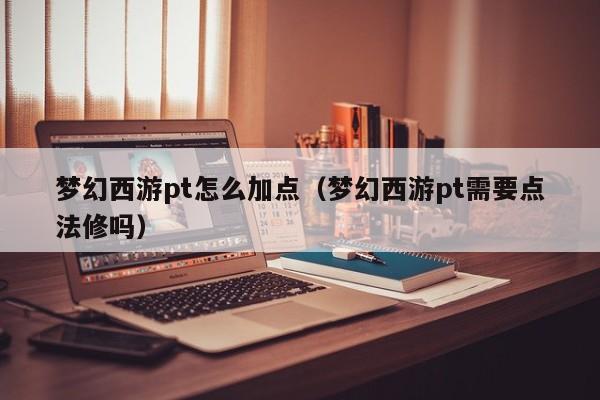 梦幻西游pt怎么加点（梦幻西游pt需要点法修吗）