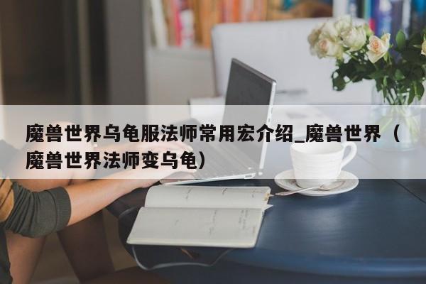 魔兽世界乌龟服法师常用宏介绍_魔兽世界（魔兽世界法师变乌龟）