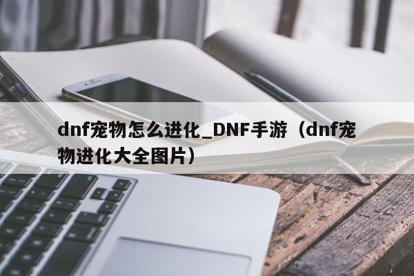 dnf宠物怎么进化_DNF手游（dnf宠物进化大全图片）