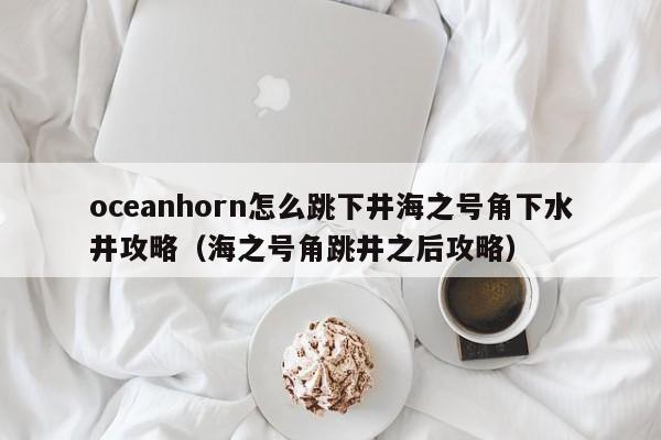 oceanhorn怎么跳下井海之号角下水井攻略（海之号角跳井之后攻略）
