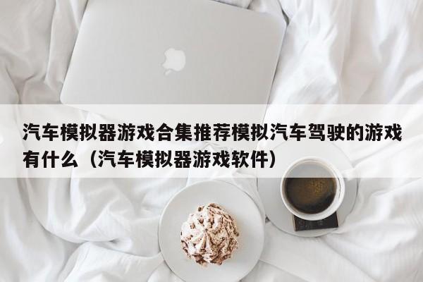 汽车模拟器游戏合集推荐模拟汽车驾驶的游戏有什么（汽车模拟器游戏软件）