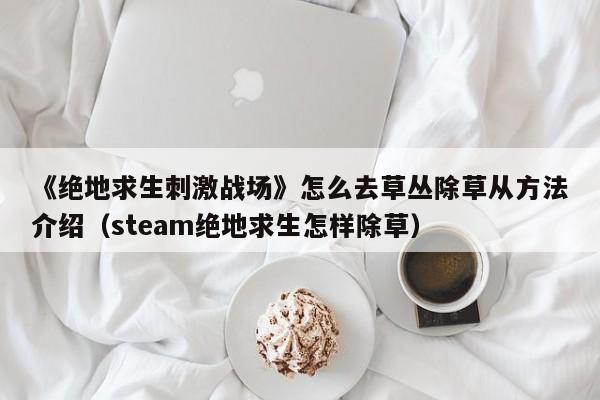 《绝地求生刺激战场》怎么去草丛除草从方法介绍（steam绝地求生怎样除草）