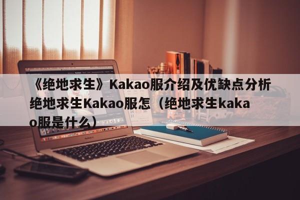 《绝地求生》Kakao服介绍及优缺点分析绝地求生Kakao服怎（绝地求生kakao服是什么）
