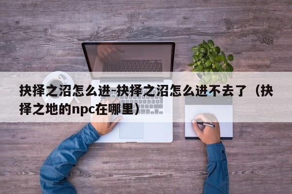 抉择之沼怎么进-抉择之沼怎么进不去了（抉择之地的npc在哪里）