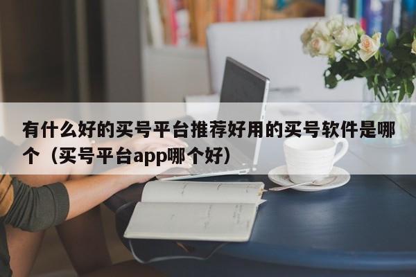有什么好的买号平台推荐好用的买号软件是哪个（买号平台app哪个好）