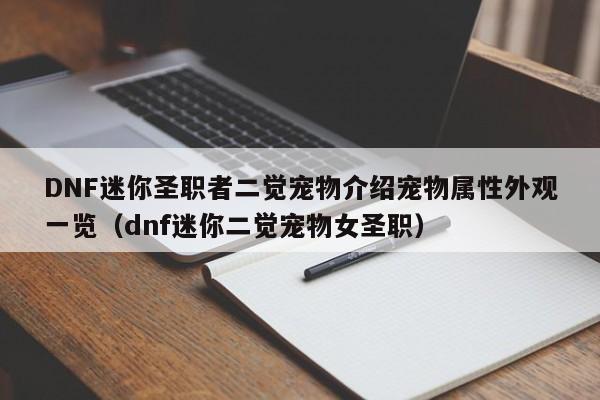 DNF迷你圣职者二觉宠物介绍宠物属性外观一览（dnf迷你二觉宠物女圣职）