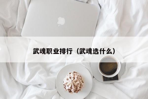 武魂职业排行（武魂选什么）