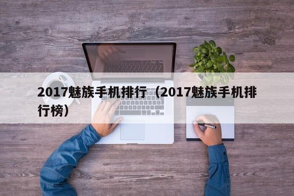 2017魅族手机排行（2017魅族手机排行榜）