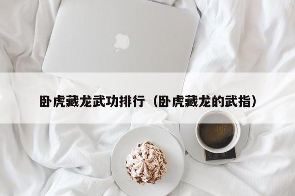 卧虎藏龙武功排行（卧虎藏龙的武指）
