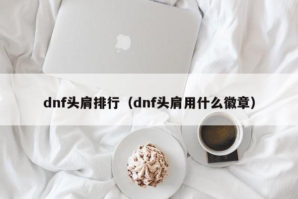 dnf头肩排行（dnf头肩用什么徽章）