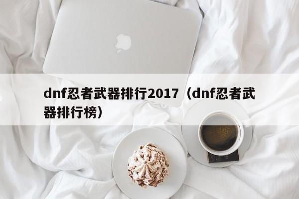 dnf忍者武器排行2017（dnf忍者武器排行榜）