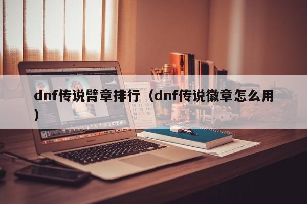 dnf传说臂章排行（dnf传说徽章怎么用）